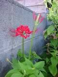 image/clefs-2005-09-25T09:56:40-1.jpg